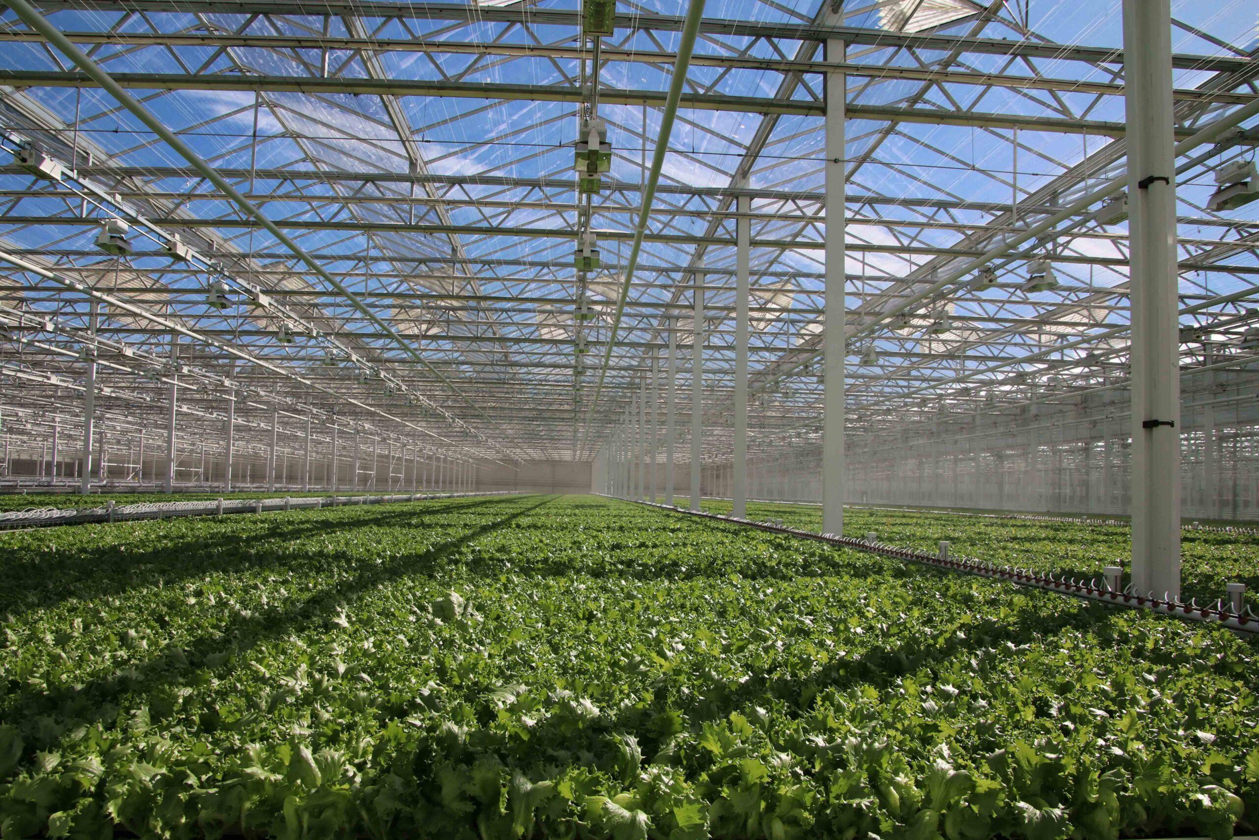 Our growing systems - Green Automation