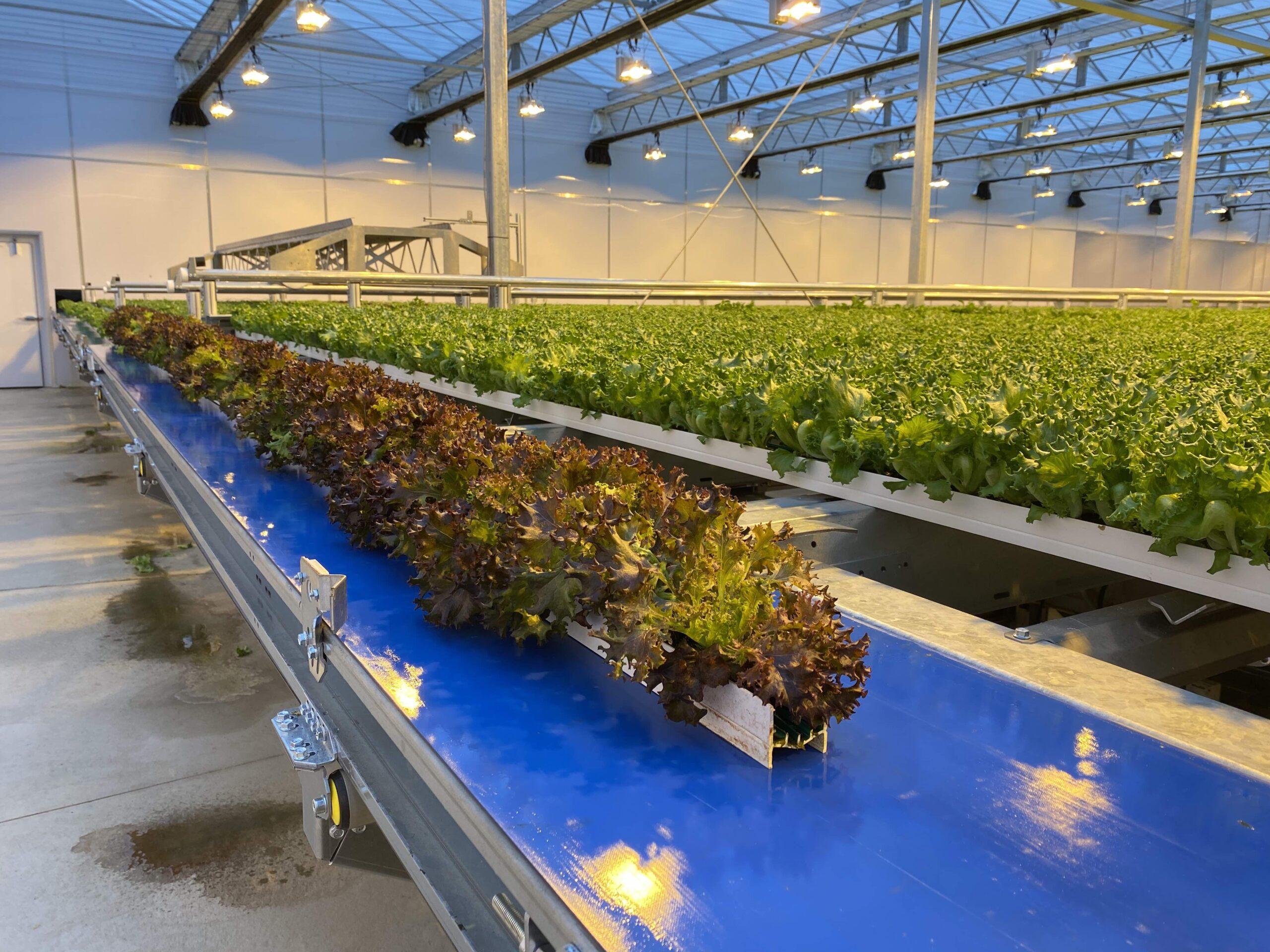 Our growing systems - Green Automation