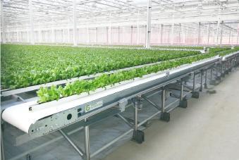 Green Automation